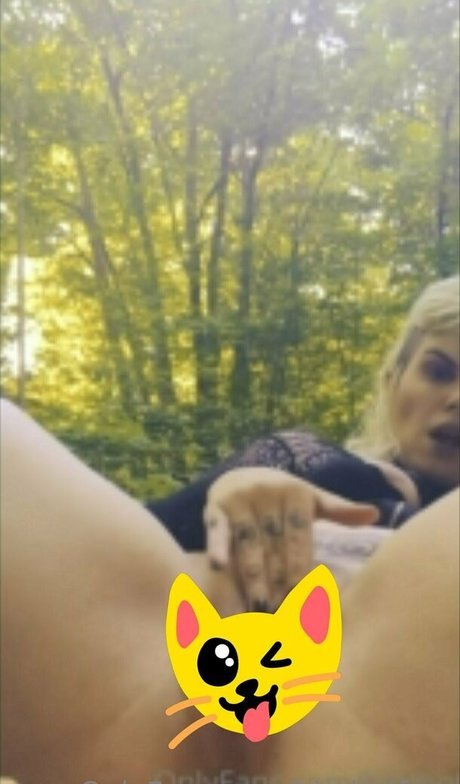 bimbotfree HDスター アーカイブ