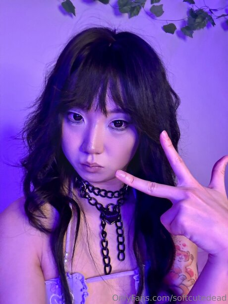 ssbbw オンリーファンズ エロ 写真