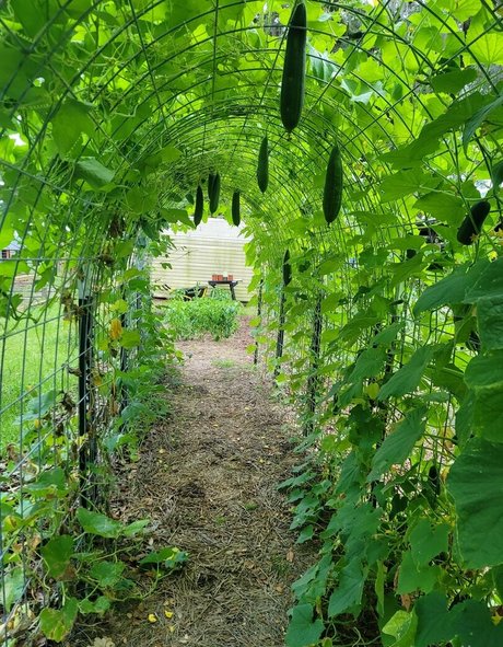 日本の熟女オンリーファンズ ホットセクシー 写真