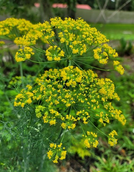 大人のランジェリーオンリーファンズ 可愛い 画像