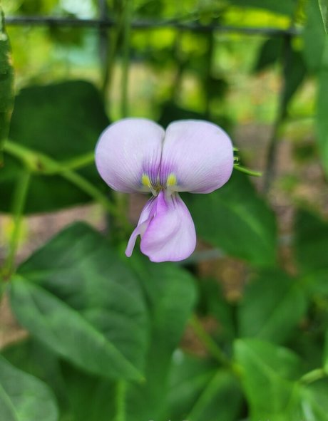 熟女オーガズムオンリーファンズ 無料ヌード 写真