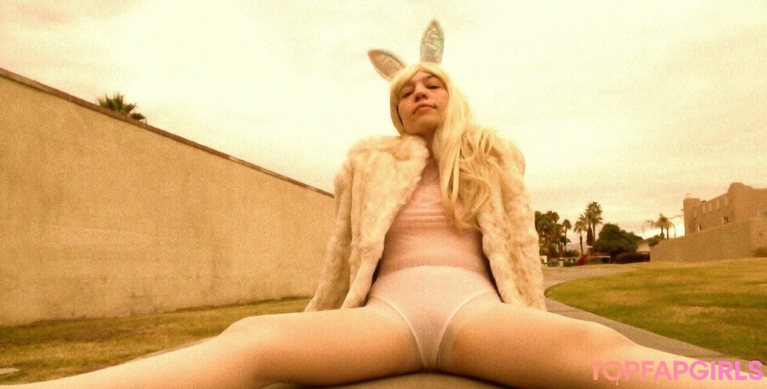 stellaaeternum 写真集