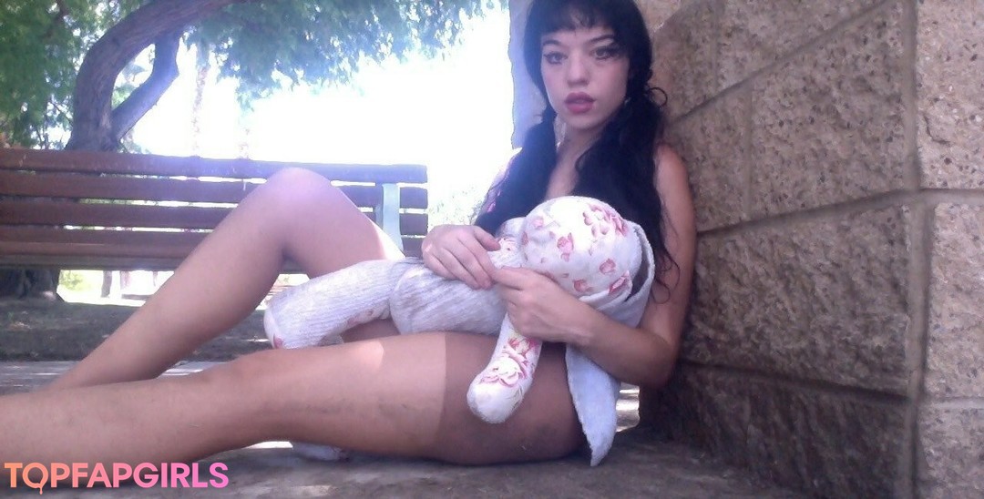 stellaaeternum 完璧なスター 写真