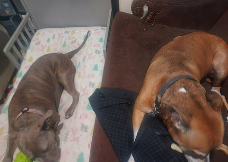 金髪のホットな妻オンリーファンズ ポルノ ギャラリー