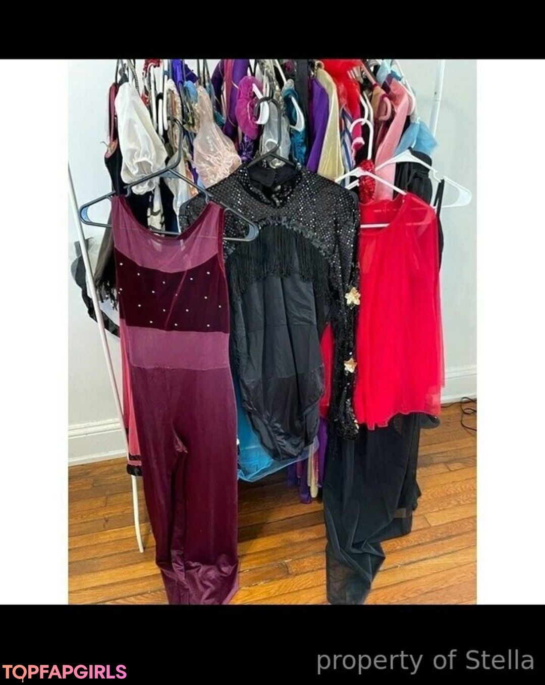 stellaaeternum 高品質モデル 写真