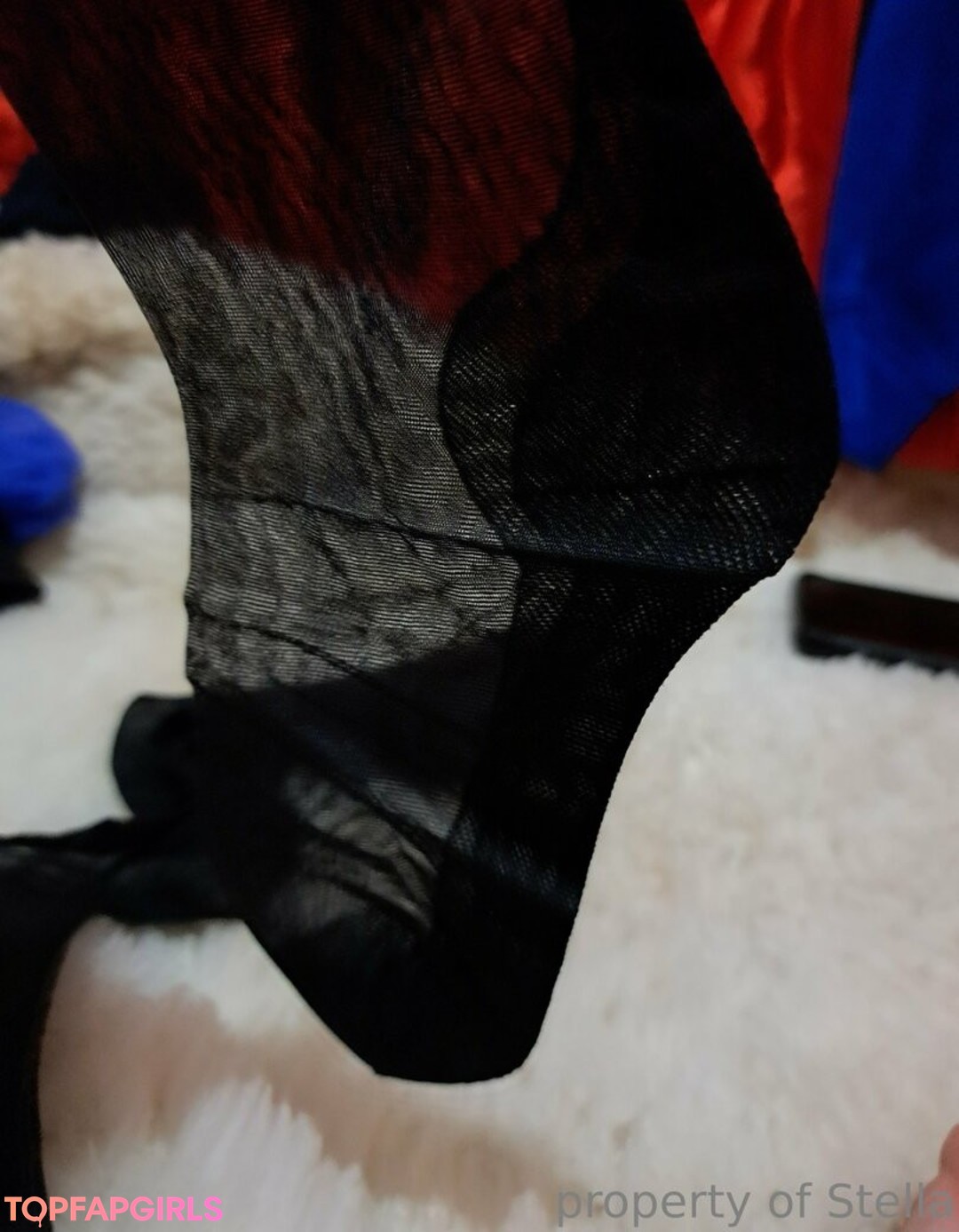 stellaaeternum HDモデル 写真