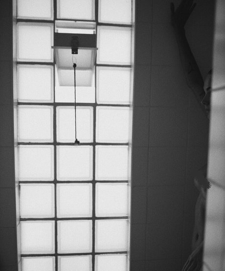 Venosere 完璧なスター 写真