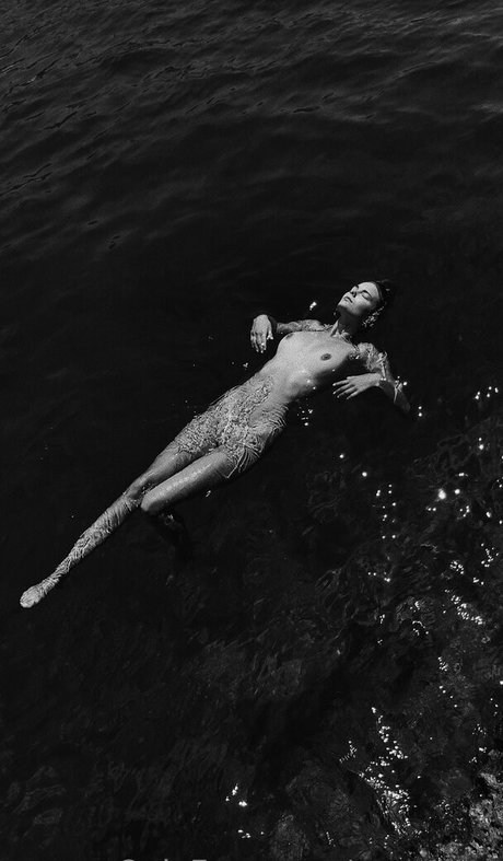 Venosere 美しいスター 画像