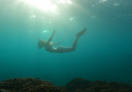 アナルコスプレオンリーファンズ ベスト 写真