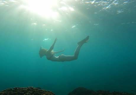 Lily Sheen ポルノスター 画像