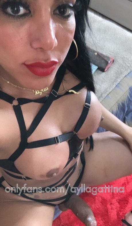 ayllagatina トップモデル 写真