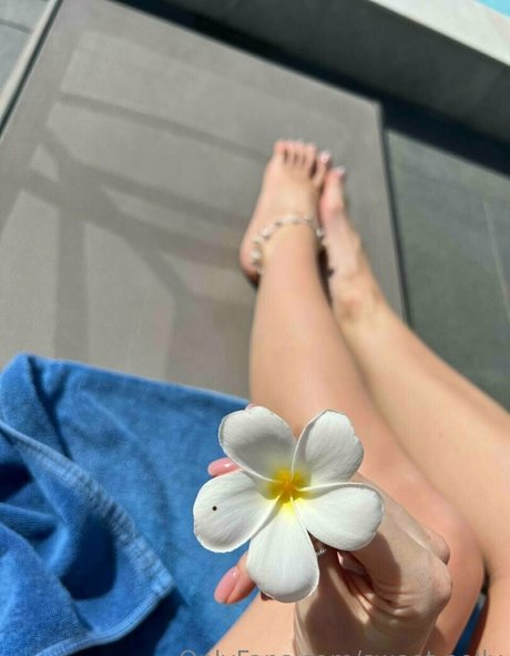 sweet polly ポルノスター 無料 ギャラリー