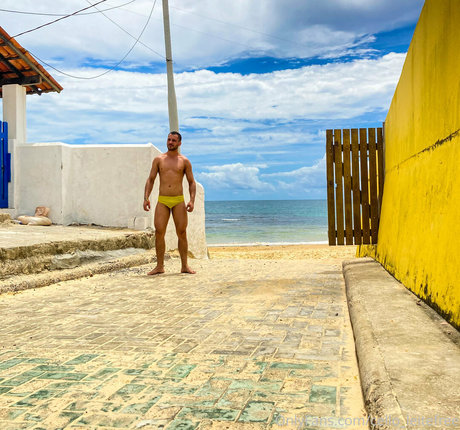 cello leitefree 高品質スター 画像