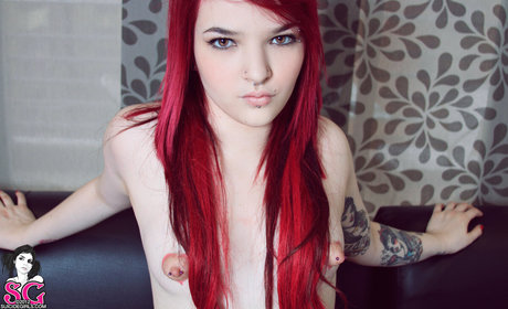 Nina Gato XXXモデル 画像