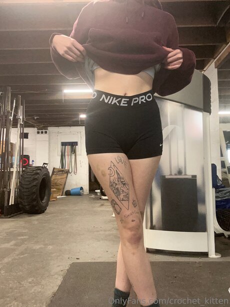 Crochet Kitten 完璧なスター 写真