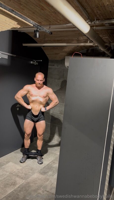 Swedishwannabebodybuild 高品質モデル アーカイブ