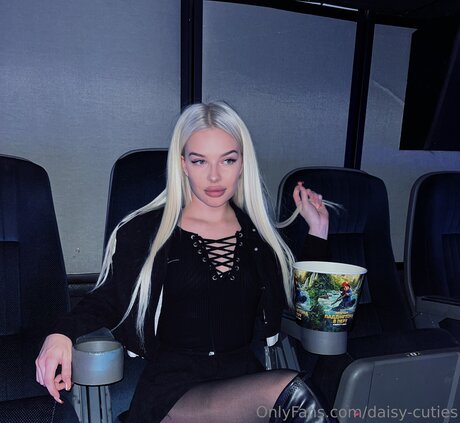 Daisy Cutie 高品質のスター ギャラリー