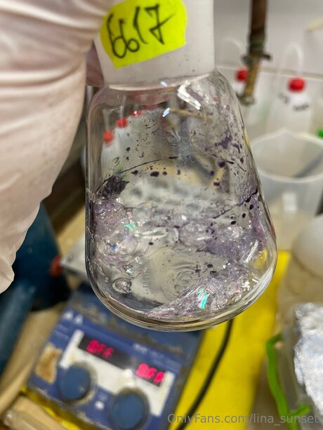 Lina Sunset 美しいスター ギャラリー