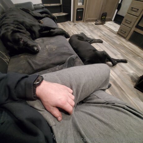 Bluecollarworker01 ポルノスター セクシー 写真