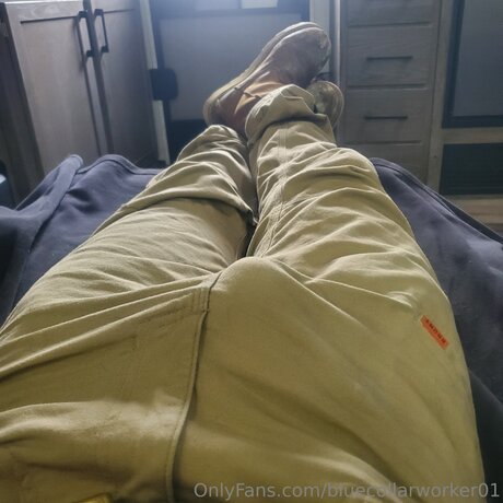 Bluecollarworker01 素敵なポルノスター 写真