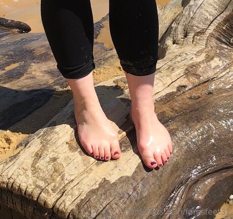 Fernsfeet31 スター xxx ギャラリー