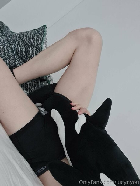 Lucynyou ポルノスター 美しい アーカイブ