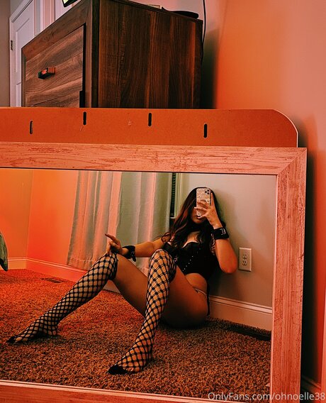 Ohnoelle38 HDモデル 写真