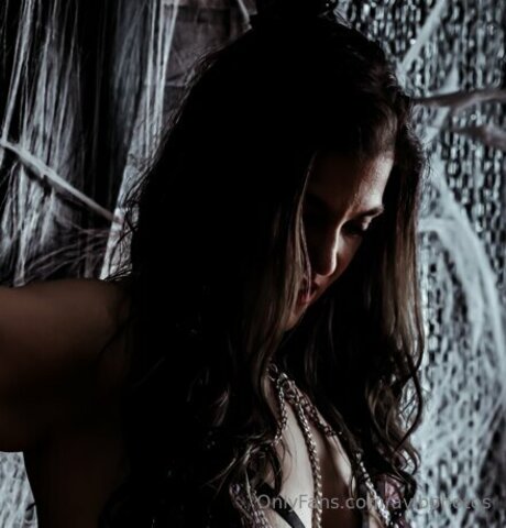 Avibphotos エロティックなスター 写真