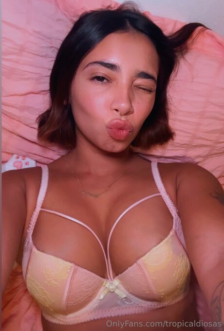 Thetropicaldiosa 無料のスター 写真