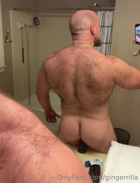 Gingerrilla 高品質のポルノスター 画像