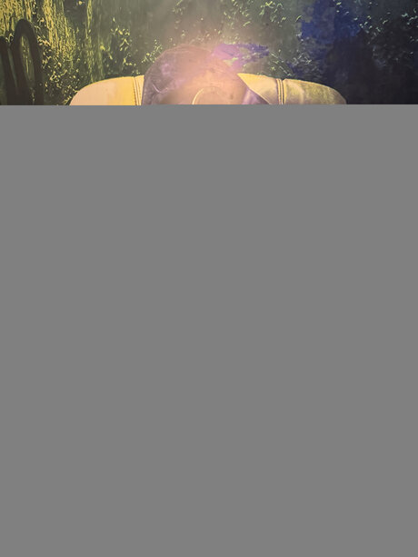 Amelia Lovis アートスター 写真