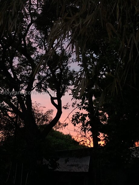 Iva420 XXXモデル 写真