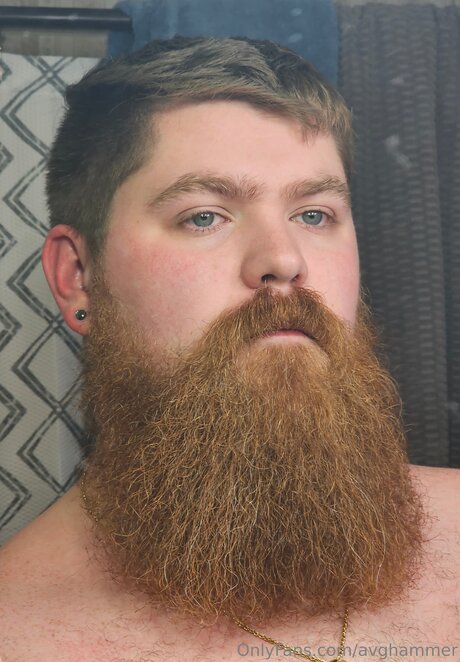 Avghammer 素敵な女優 写真