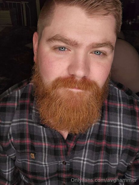 Avghammer アダルトスター 画像