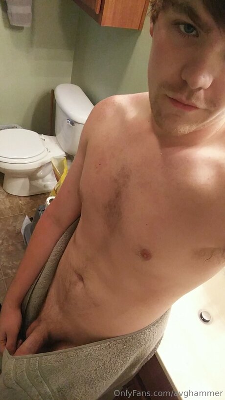 Avghammer ヌードスター ギャラリー