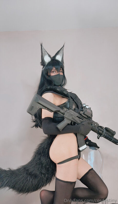 Cosdestiny アダルトスター 写真