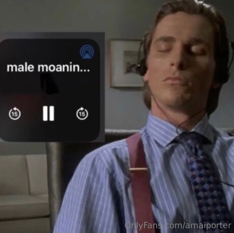 Amaiporter アートモデル 画像