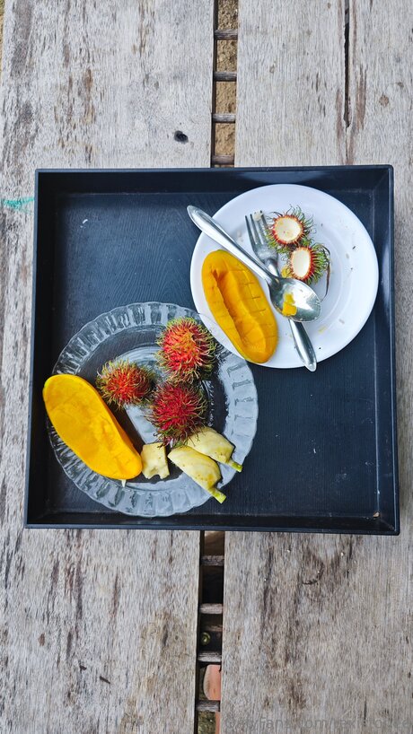 Rexistonee 独占ポルノスター アーカイブ