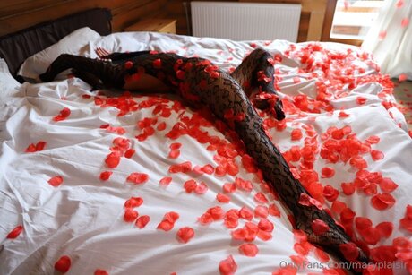 Maryplaisir プロフィール写真