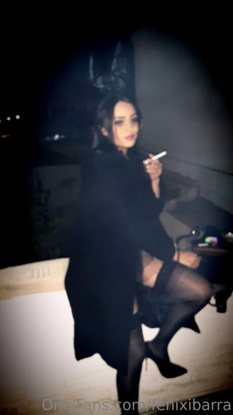 Fenixibarra アートモデル ギャラリー