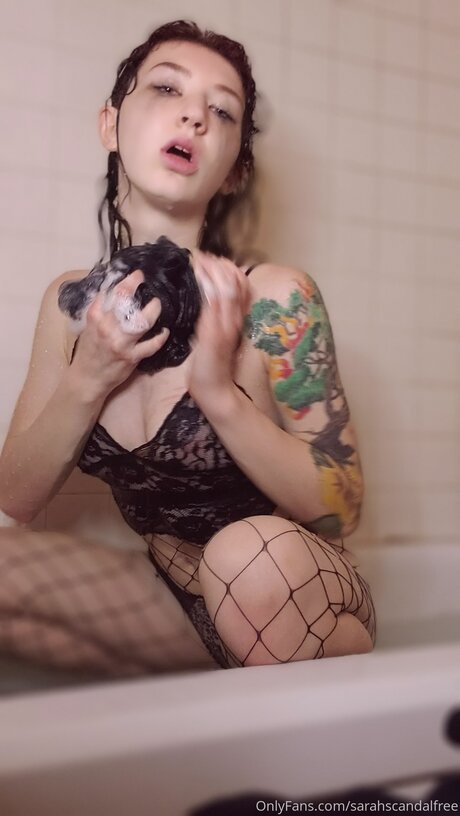 Dumbcuntfree 完璧なスター 画像