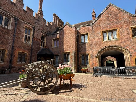 Travelsunshine 美しいポルノスター ギャラリー