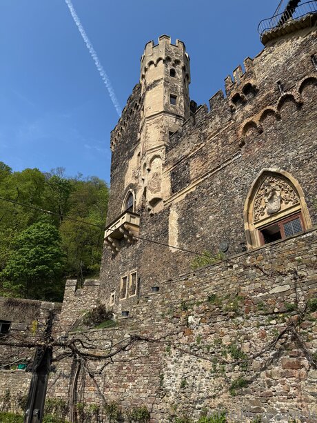 Travelsunshine ホットモデル 画像