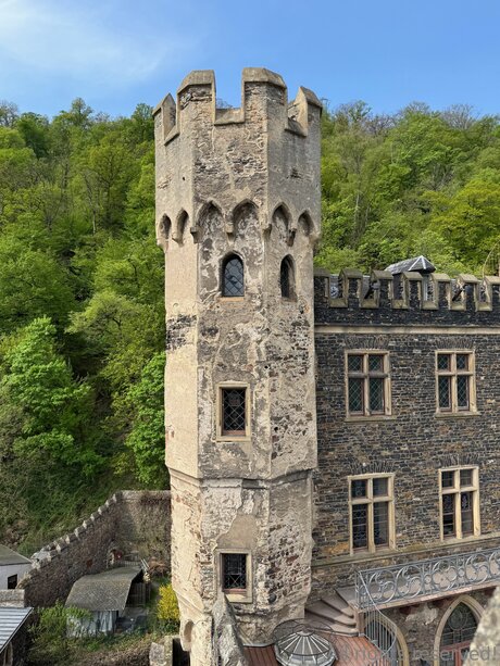 ssbbw オンリーファンズ ホットセックス 画像