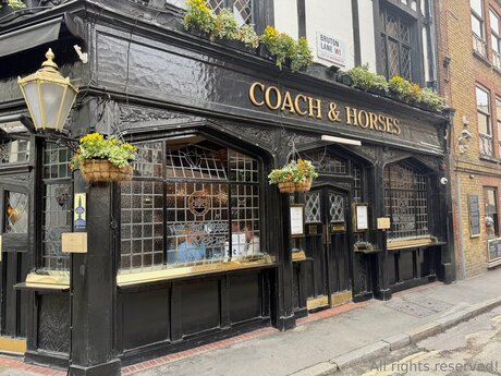 Travelsunshine アート女優 画像