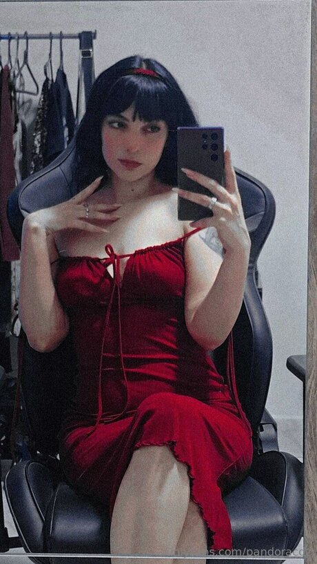 Pandoracdz 写真集