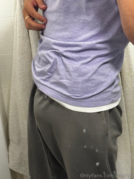 Dilanyn HDモデル ギャラリー