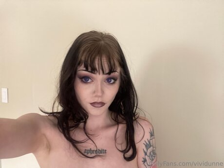 Vividunne セクシーなスター 画像