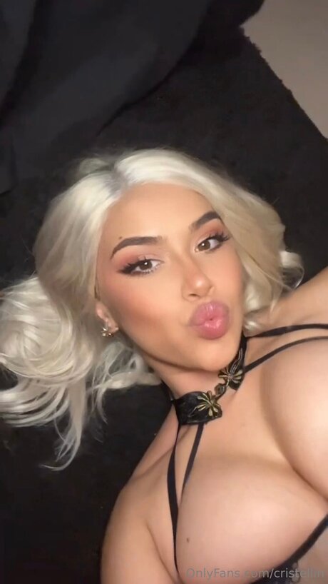 メガオンリーファン パーフェクト 写真