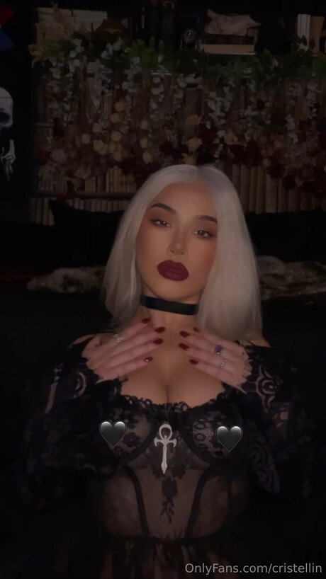 Bebebibingka 美しいスター 画像